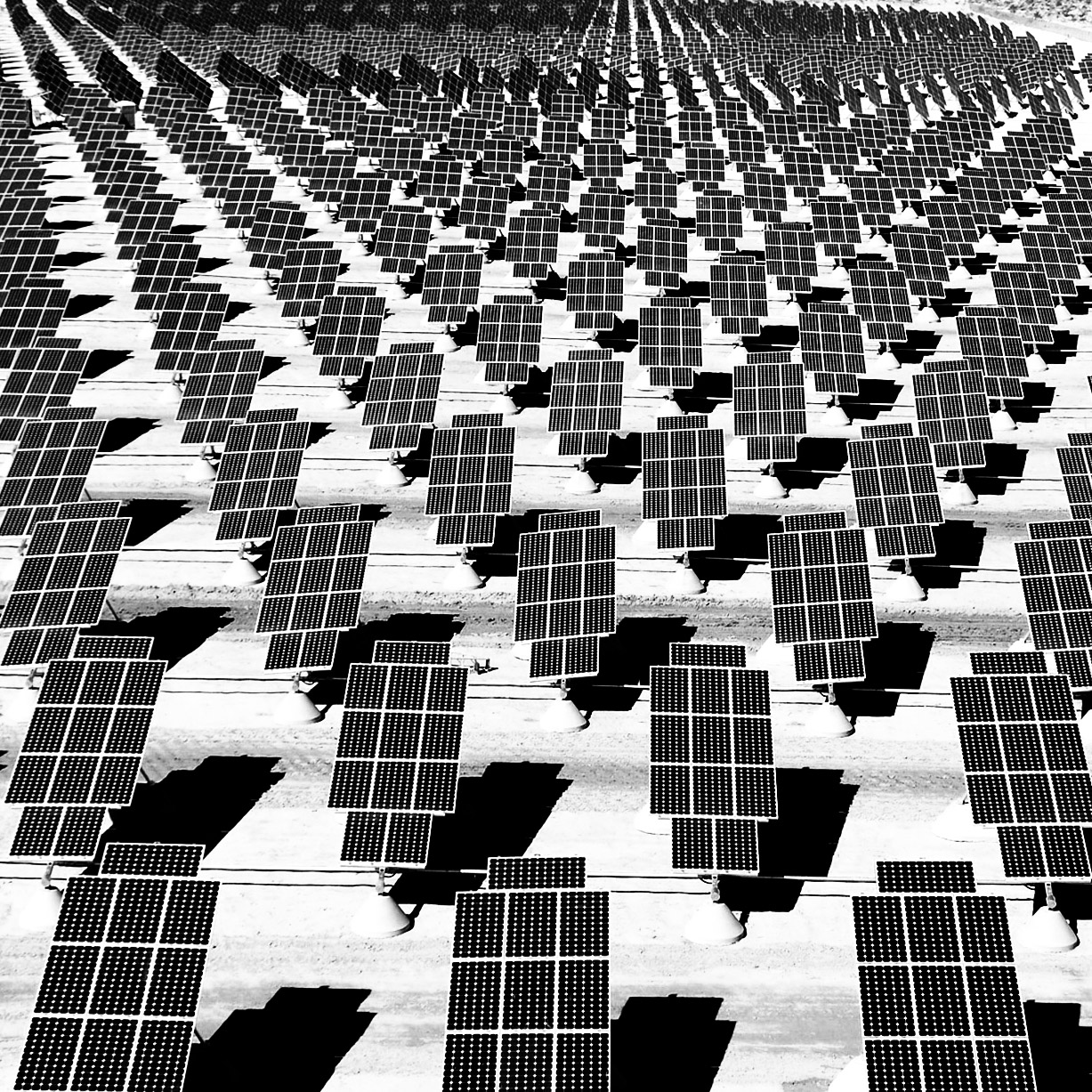 Field of Solar Panels