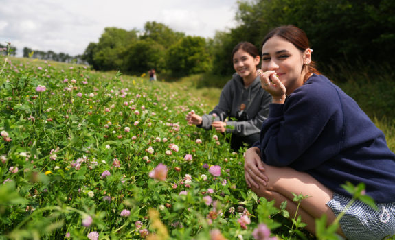 Day 15 July 26, Friday: Shoreham - English Countryside Walk | Post was published on 7/20 but photos were added on 8/2, 2024