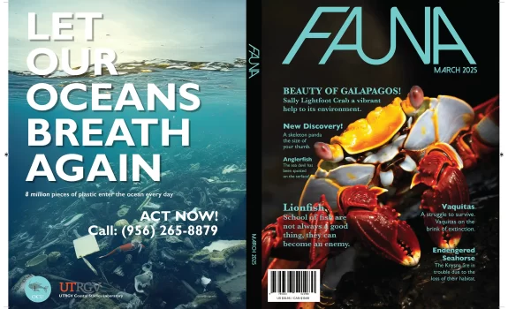 ARTS-3333 Demo: Magazine's Masthead Design, Cover Design, & Magazine Ad Design (P2A+P2B) | Featured Work by Daniela Martinez