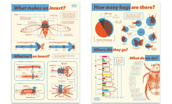 AAF-RGV: 2026 Student ADDY Winners from PXSTUDIO Classes | 2/24/2026